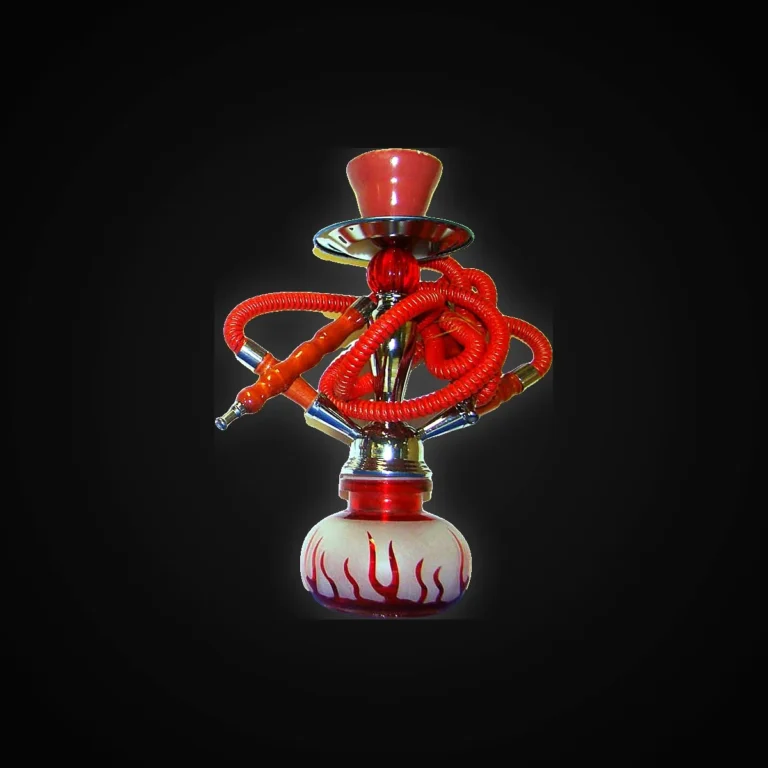 HOOKAH 12 FLAME 2 HOSE