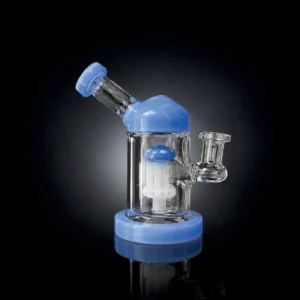 Waterpipe - 8in - Glass - Toadstool Perc with Domed Top