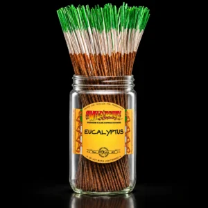 Wild Berry - 11in. Sticks - Eucalyptus