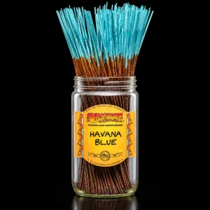 Wild Berry - 11in. Sticks - Havana Blue
